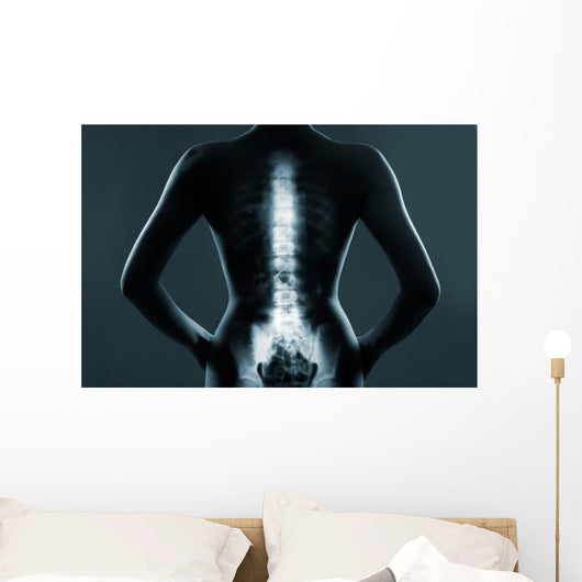 Human backbone in x-ray Wall Mural