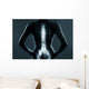 Human backbone in x-ray Wall Mural
