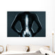 Human backbone in x-ray Wall Mural