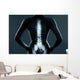 Human backbone in x-ray Wall Mural
