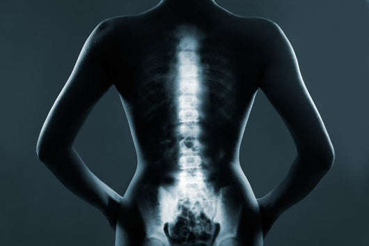 Human Backbone In X-Ray Wall Decal