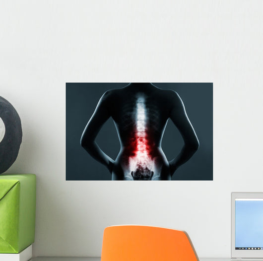 The lumbar spine is highlighted by red colour Wall Mural