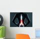The lumbar spine is highlighted by red colour Wall Mural