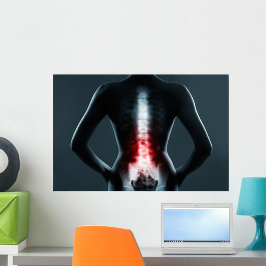 The lumbar spine is highlighted by red colour Wall Mural