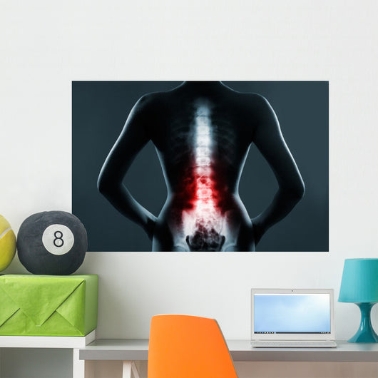 The lumbar spine is highlighted by red colour Wall Mural