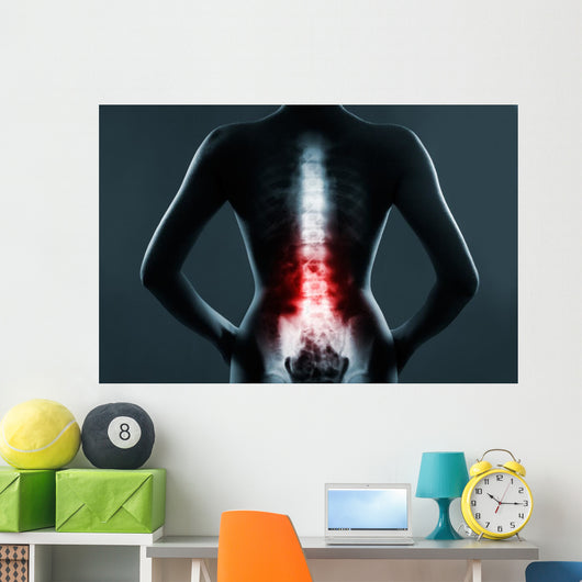 The lumbar spine is highlighted by red colour Wall Mural
