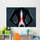 The lumbar spine is highlighted by red colour Wall Mural