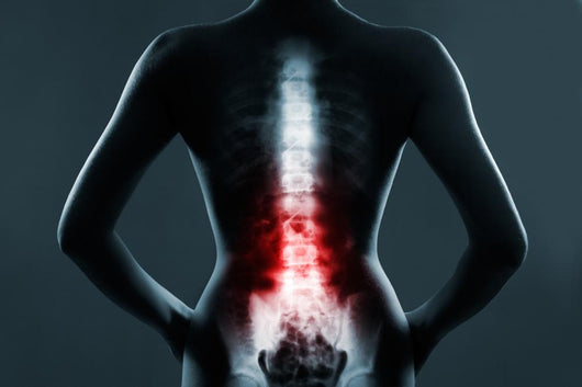 The Lumbar Spine Is Highlighted By Red Colour Wall Decal