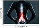 The lumbar spine is highlighted by red colour Wall Mural