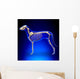 Dog Skeleton - Canis Lupus Familiaris Anatomy - side view Wall Mural