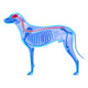 Dog Nervous System Canis Wall Decal