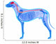 Dog Nervous System Canis Wall Decal