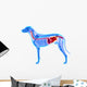 Dog Digestive System Canis Wall Decal