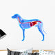 Dog Digestive System Canis Wall Decal
