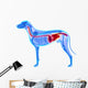 Dog Digestive System Canis Wall Decal