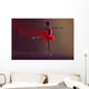Ballerina Wall Mural