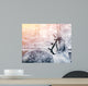 Portrait Of A Gray Sports Horse In The Winter Wall Decal 2