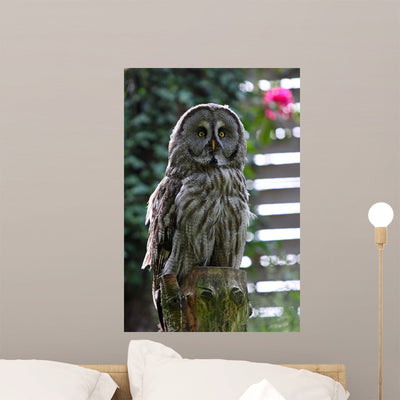 Owl Wall Decal shown on a wall
