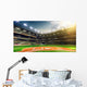 Professional Baseball Grand Arena Wall Decal