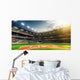 Professional Baseball Grand Arena Wall Decal