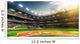 Professional Baseball Grand Arena Wall Decal