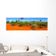 Blooming desert Australia Wall Mural