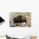 Nutria Wall Mural