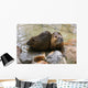 Nutria Wall Mural
