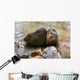 Nutria Wall Mural