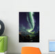 Aurora Borealis reflected between fjords in Tromso Wall Mural