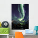 Aurora Borealis reflected between fjords in Tromso Wall Mural