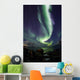 Aurora Borealis reflected between fjords in Tromso Wall Mural