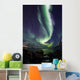Aurora Borealis reflected between fjords in Tromso Wall Mural