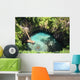 Paraiso Wall Mural