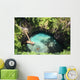 Paraiso Wall Mural