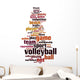 Volleyball word cloud Wall Decal