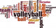 Volleyball Word Cloud Wall Decal