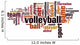 Volleyball word cloud Wall Decal