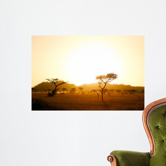 Sunrise on african savannah Wall Mural