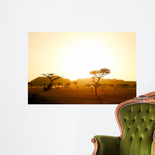 Sunrise on african savannah Wall Mural
