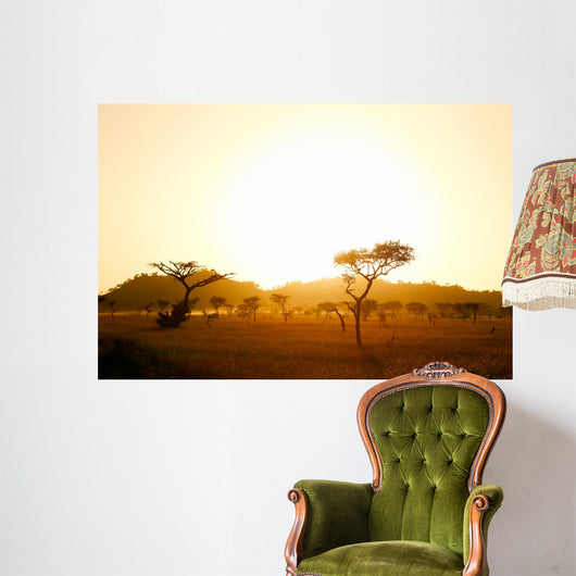 Sunrise on african savannah Wall Mural