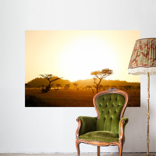 Sunrise on african savannah Wall Mural