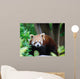 Red Panda Wall Decal