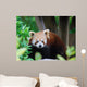 Red Panda Wall Decal