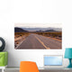 Kelbaker Road Approaches Needles Freeway US 40 California Desert Wall Mural