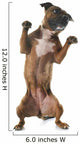 playing Staffordshire bull terrier Wall Decal