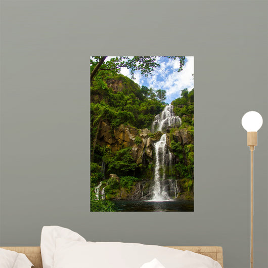 Grandes cascades Wall Mural
