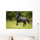 Black Beauty Wall Mural