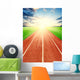 Running track Wall Mural