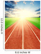 Running track Wall Mural
